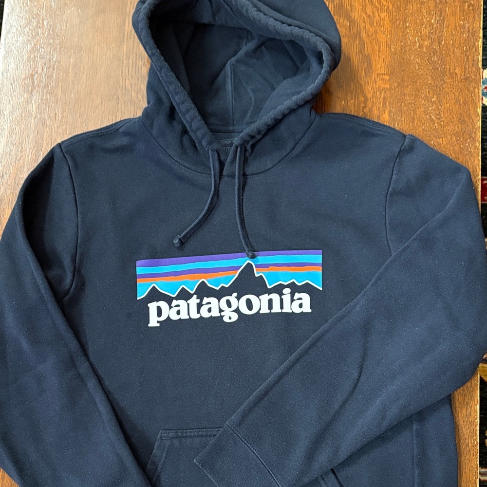 Patagonia Dark Blue Hoodie